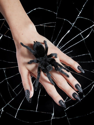 BLACK WIDOW NAILZ - Y R U